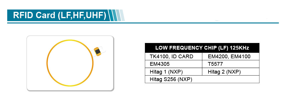 China Good Performance Dual Frequency RFID Card