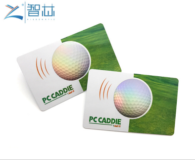 ABS LF RFID Card