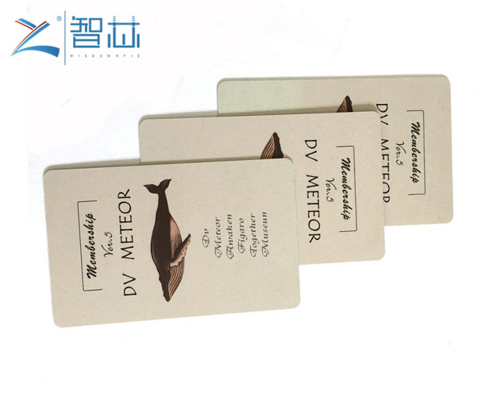 Full Color Printing 125khz Low Frequency EM4200 RFID Card